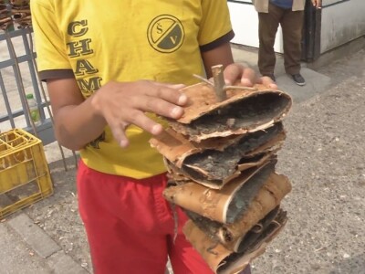 Kora divlje trešnje