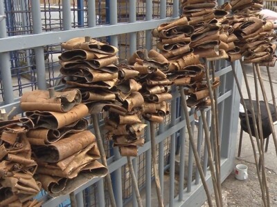 Kora divlje trešnje