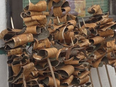 Kora divlje trešnje