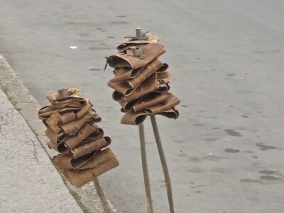 Kora divlje trešnje