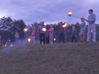 Kora divlje trešnje