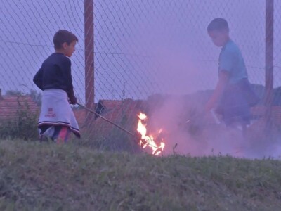 Kora divlje trešnje