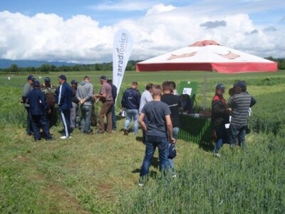 Syngenta zaradionica