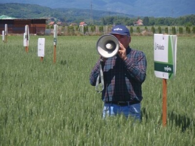 Syngenta zaradionica