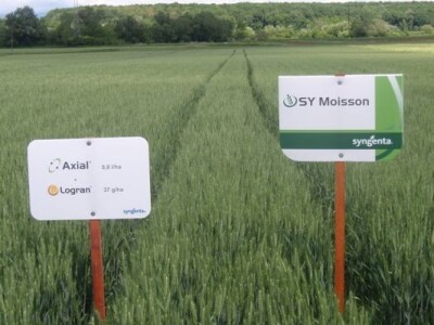 Syngenta zaradionica