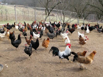 Korisno pretvoriti u još korisnije - jezero Vrutci