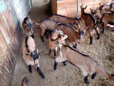 Korisno pretvoriti u još korisnije - jezero Vrutci
