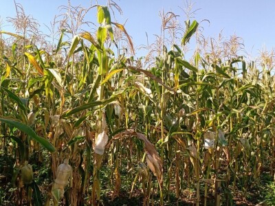 Korisno pretvoriti u još korisnije - jezero Vrutci