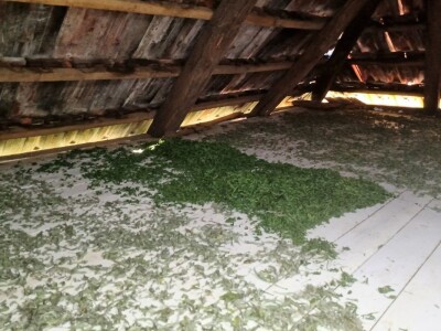 Korisno pretvoriti u još korisnije - jezero Vrutci