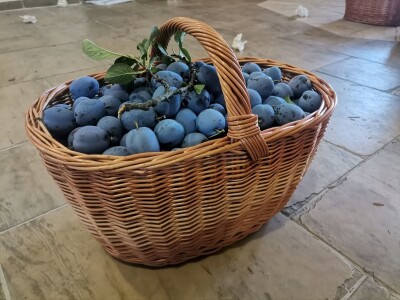 Korparstvo - priprema šibe