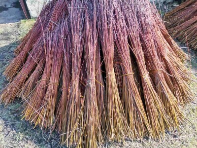 Korparstvo - priprema šibe