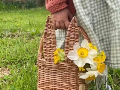 Korparstvo u Posavini