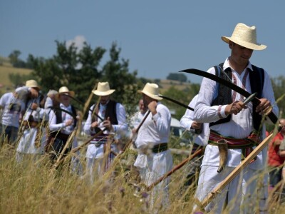 Kosidba na Rajcu 2024