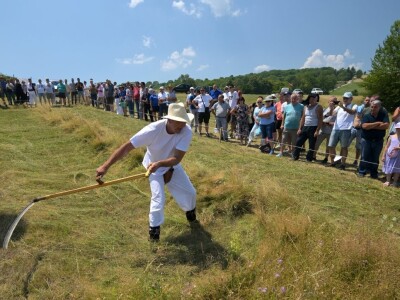 Kosidba na Rajcu 2024