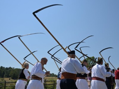 Kosidba na Rajcu 2024