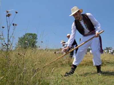 Kosidba na Rajcu 2024