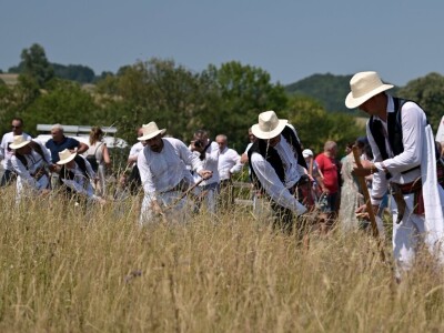 Kosidba na Rajcu 2024