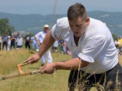 Kosidba na Rajcu 2024