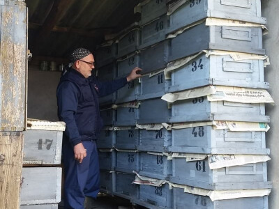 Tonča i njegove košnice