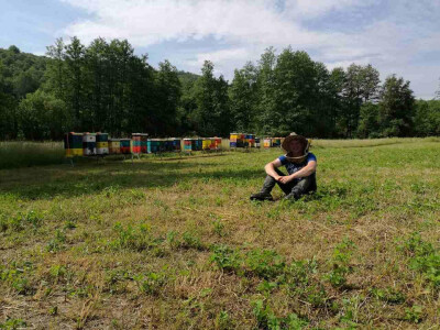 Pčelinja društva preselio na pašu kestena