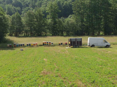 Pčelinja društva preselio na pašu kestena