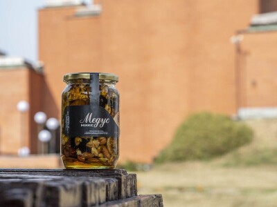 Košnice porodice Kovačević