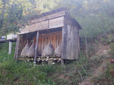 Počinje nova pčelarska godina Počinje nova pčelarska godina