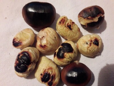 Kostajnica u oktobru miriše na pečeni kesten Kostajnica u oktobru miriše na pečeni kesten