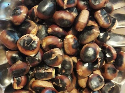 Kostajnica u oktobru miriše na pečeni kesten Kostajnica u oktobru miriše na pečeni kesten