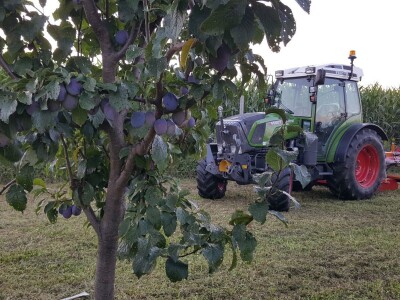 Prigorje voće d.o.o.