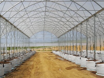 Prigorje voće d.o.o.