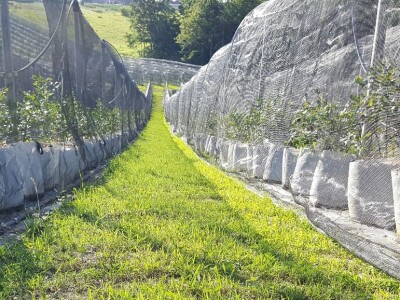 Prigorje voće d.o.o.