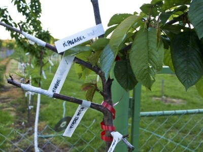 Sve je obilježeno i evidentirano