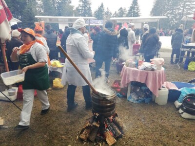 Kozara, jedna i jedina Kozara, jedna i jedina