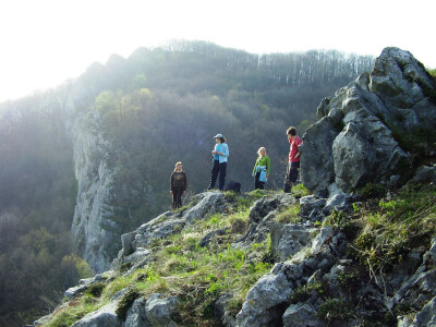 Planina kozara bogata izvorima  pitke vode Planina kozara bogata izvorima  pitke vode