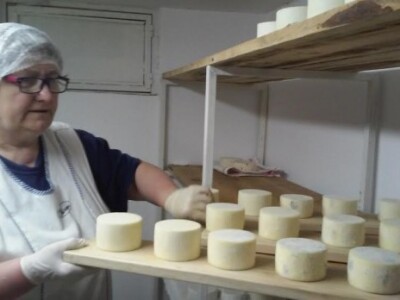 Radni dan na OPG Đurković