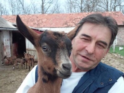 Radni dan na OPG Đurković