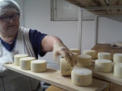 Radni dan na OPG Đurković