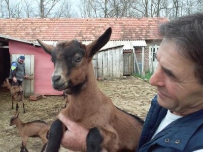 Radni dan na OPG Đurković