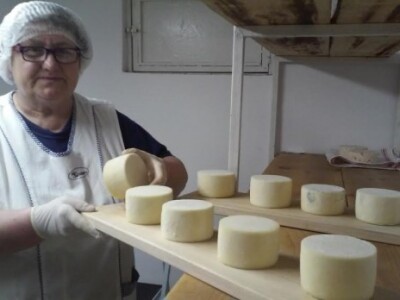 Radni dan na OPG Đurković