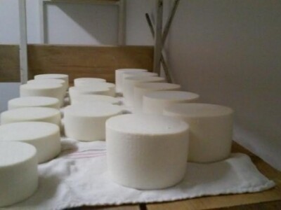 Radni dan na OPG Đurković