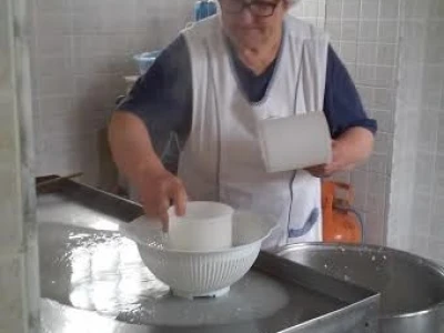 Radni dan na OPG Đurković