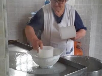 Radni dan na OPG Đurković