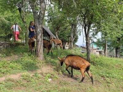 Kozarstvo Štimac Cunar