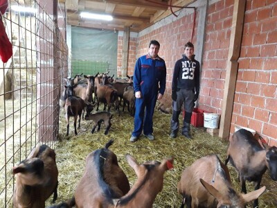 Kozarstvo Štimac Cunar