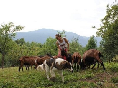 Kozarstvo Štimac Cunar