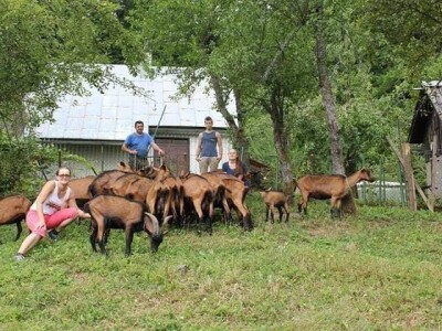 Kozarstvo Štimac Cunar