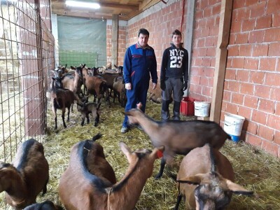 Kozarstvo Štimac Cunar