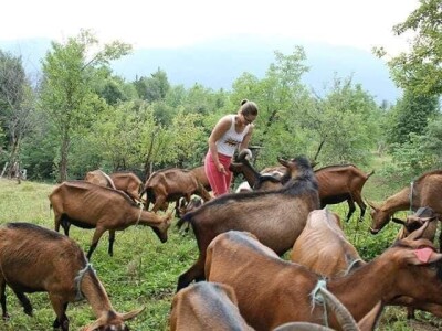 Kozarstvo Štimac Cunar
