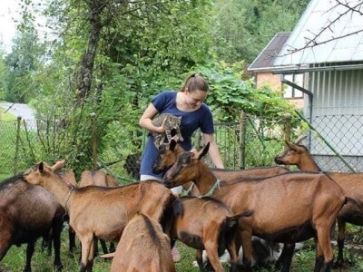 Kozarstvo Štimac Cunar